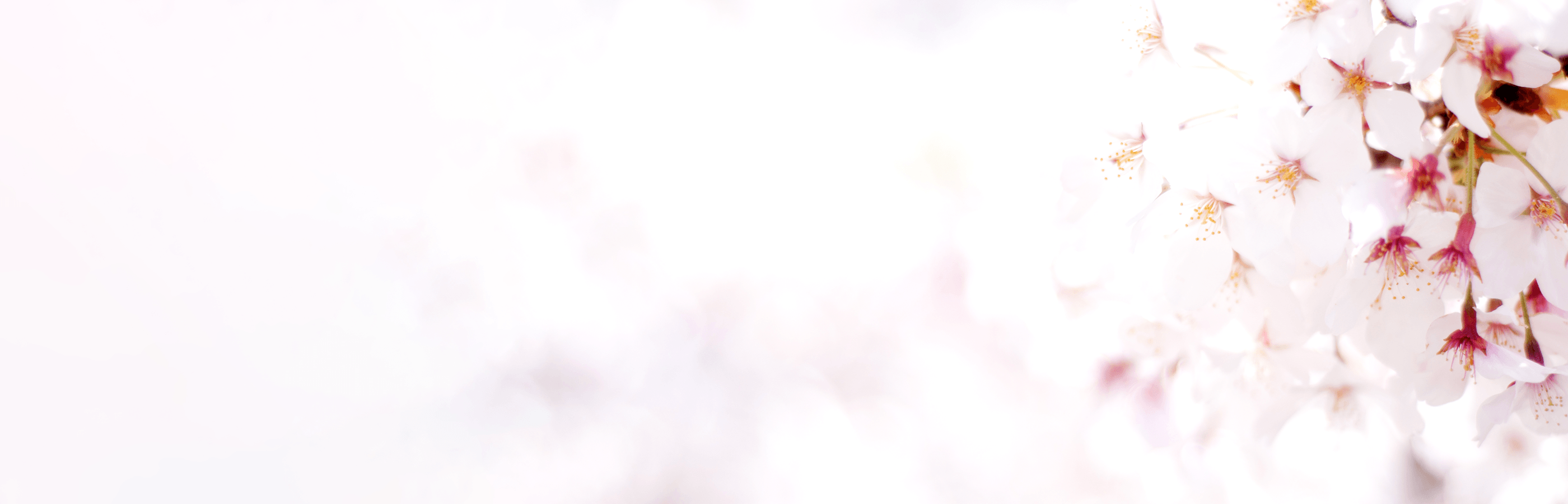 画像:合格実績・体験談 背景